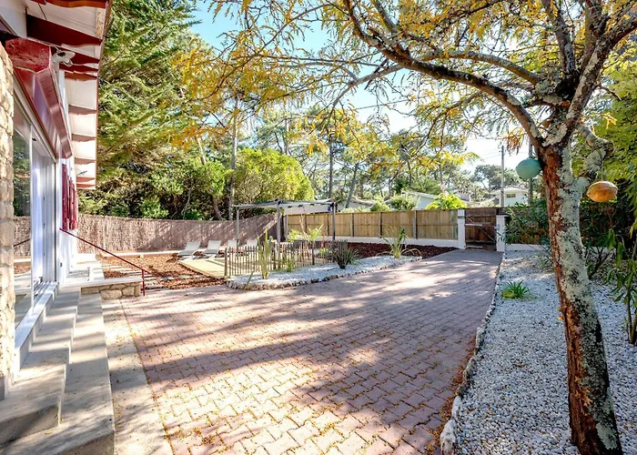 Charmante Maison Basque Au Centre Du Cap Ferret